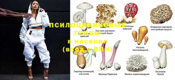 прущие крисы Абинск