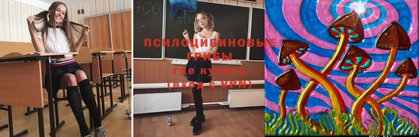 мет Абаза