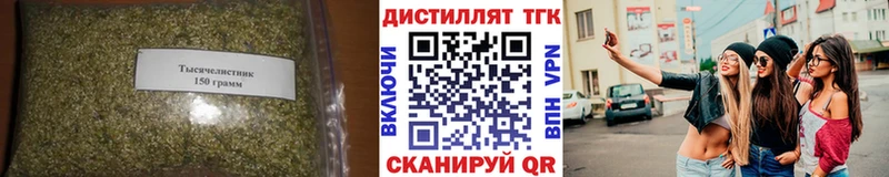 KRAKEN зеркало  Каргополь  ТГК Wax 