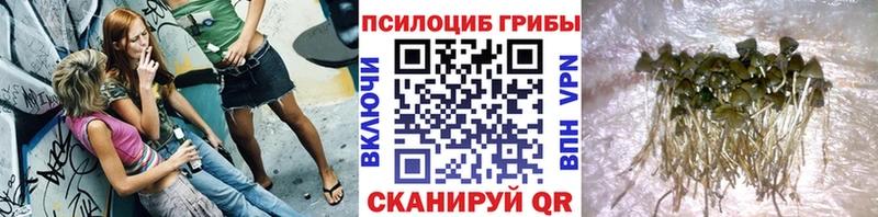 Галлюциногенные грибы Cubensis ОМГ ОМГ онион Каргополь