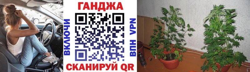 Марихуана ГИДРОПОН  закладка  Каргополь 